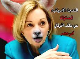 Anne Patterson support terrorism in Egypt