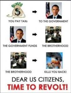Dear American Citizens it is time to revolt against Obama