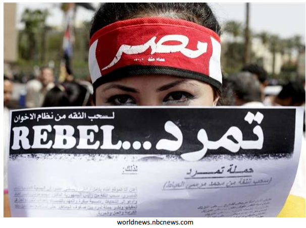 Egyptian Rebel Campaign managed to gather 20 million signatures