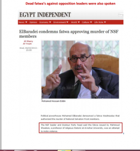 ElBaradei condemns the call of brotherhood clerics to kill demonstrators who oppose brotherhood regime