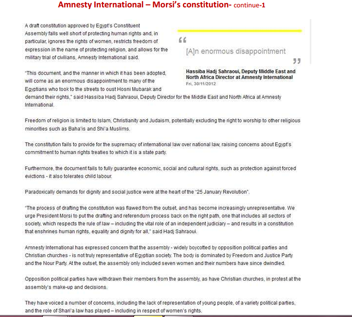 amnesty international morsi and brotherhood contitution