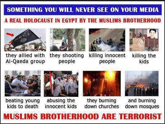 Brotherhood are a terrorist International Organization supported and financed by USA