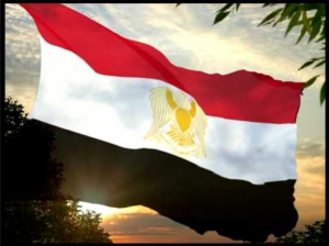 The Arab Republic Of Egypt Constitution year 2013 Egypt is moving towards real Democracy